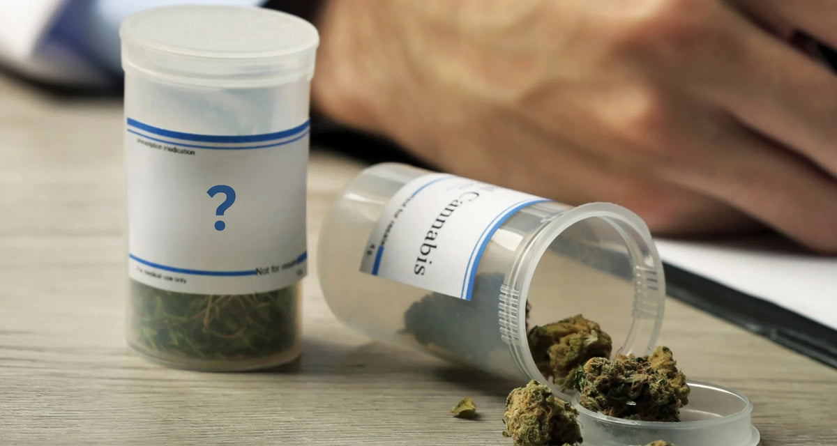 Veille marché CBD en Europe — Does Your Cannabis Prescription Match Name Label?