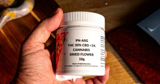 Plus de THC, à peine plus d’effets : une nouvelle étude remet en question les idées reçues sur la puissance du