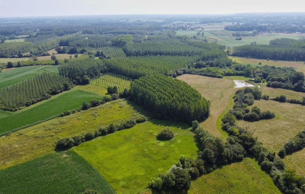 Veille marché CBD en France — Two French hemp projects aim expand fiber processing