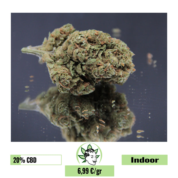 AMNESIA HAZE - INDOOR D'EXCEPTION (5 GRAMMES)