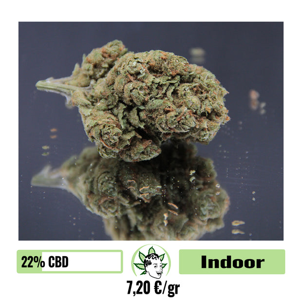 AMNESIA HAZE - INDOOR