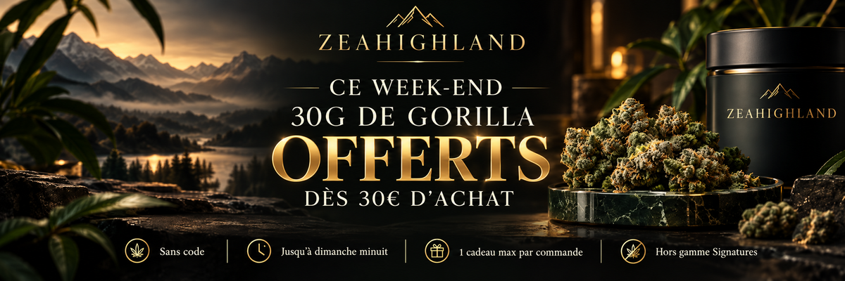 Bannière Promotion