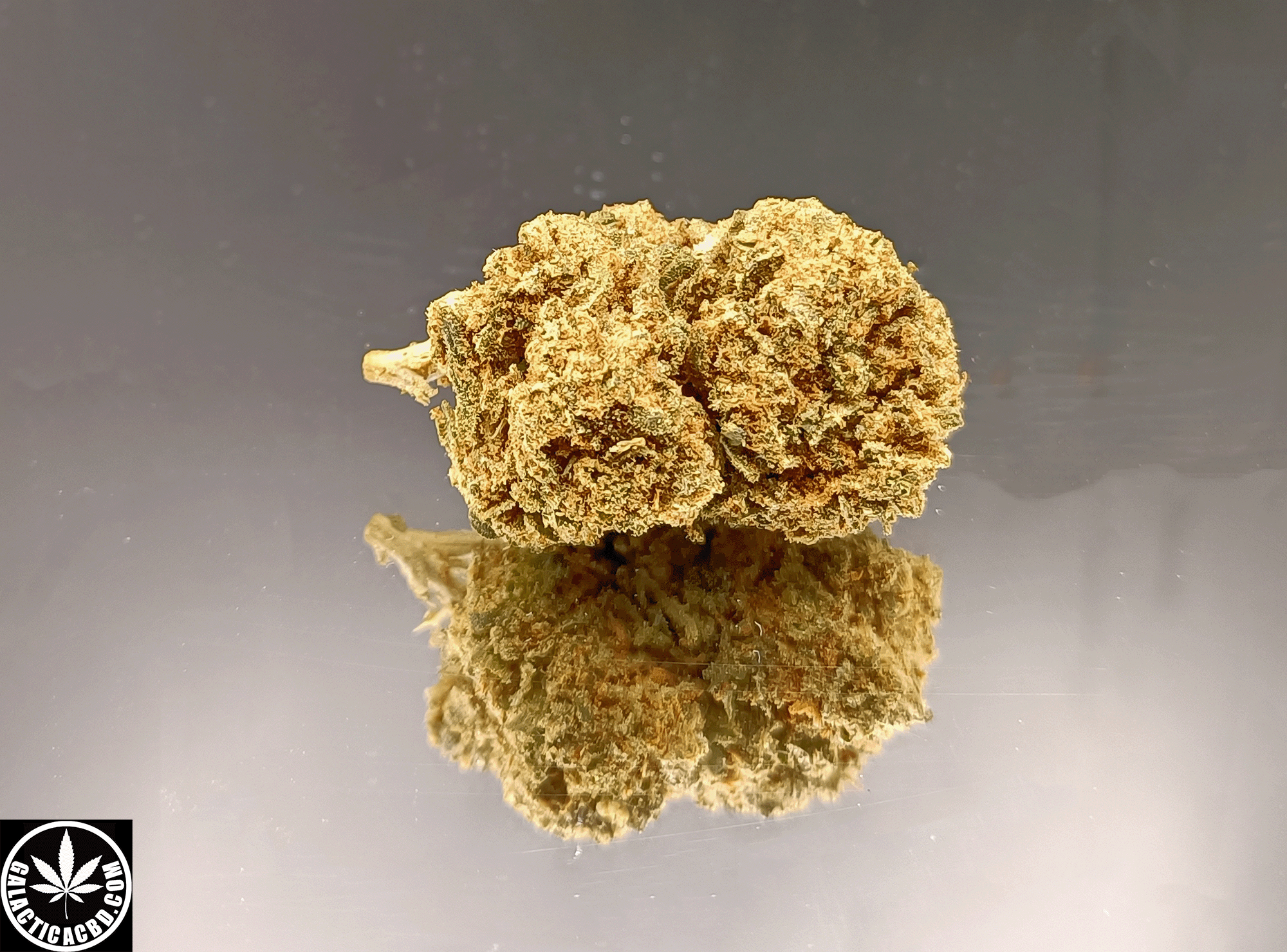 DON BELZE - INDOOR (5 GRAMMES)