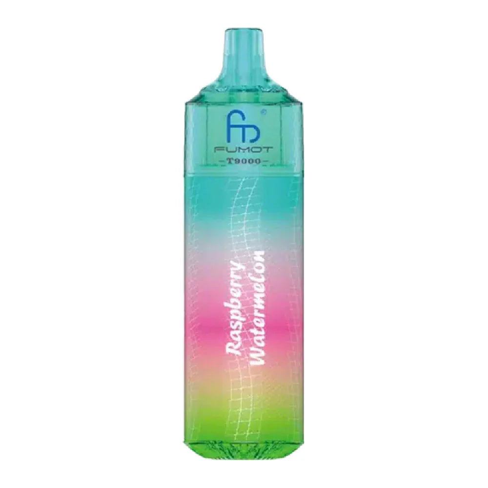 PUFF RECHARGEABLE RASPBERRY WATERMELON