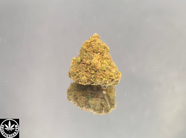AMNESIA MIEL - INDOOR (5 GRAMMES)