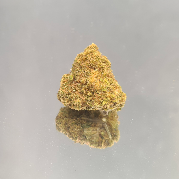 AMNESIA MIEL - INDOOR (5 GRAMMES)