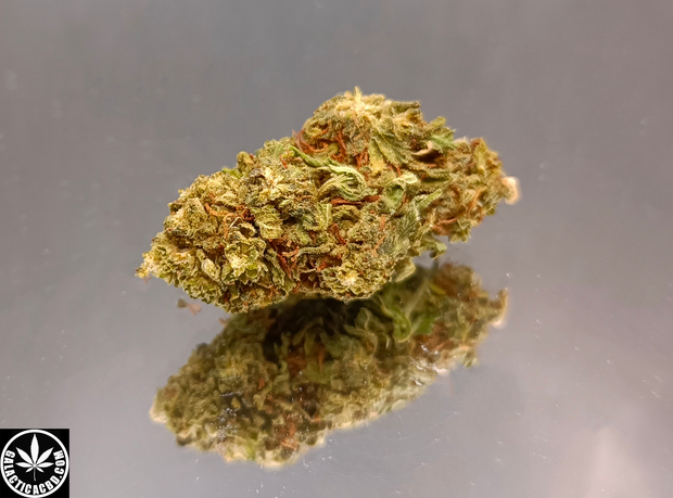 BLUEBERRY 40% - GREENHOUSE (5 GRAMMES)