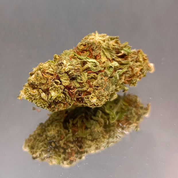 BLUEBERRY 40% - GREENHOUSE