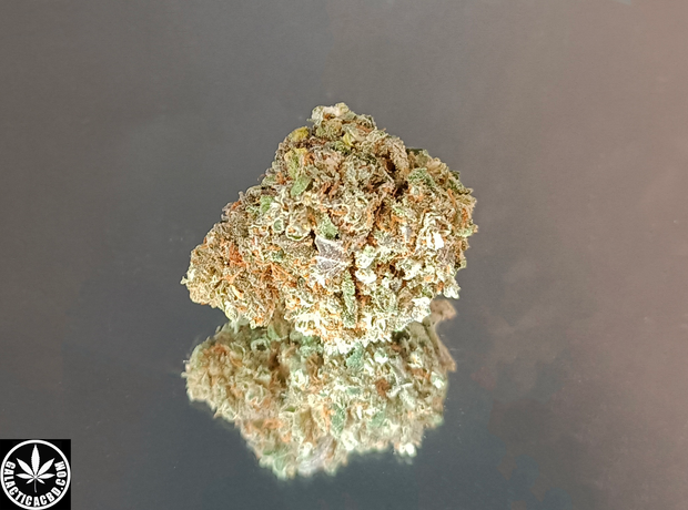 CHERRY PIE - INDOOR (5 GRAMMES)