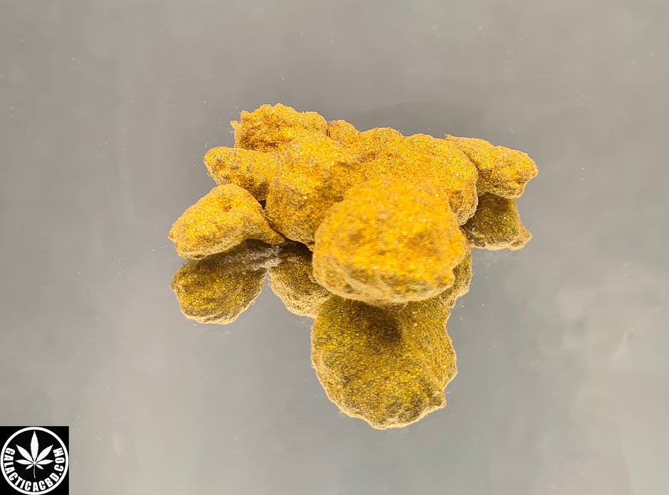 GOLDROCK (5 GRAMMES)