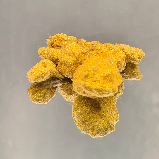 GOLDROCK (5 GRAMMES)
