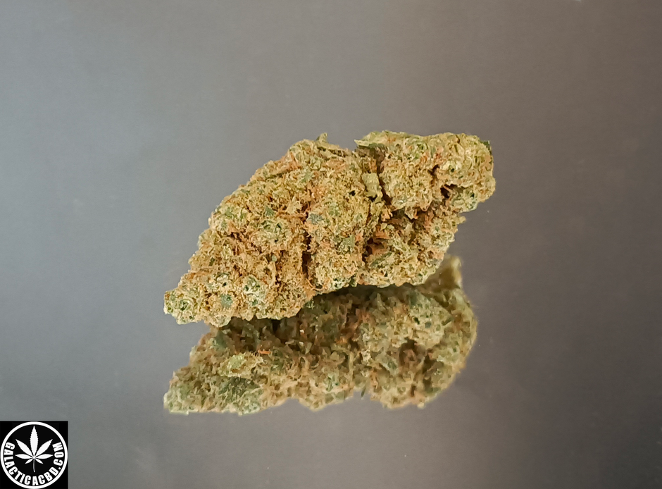 HARLEQUIN - INDOOR (5 GRAMMES)