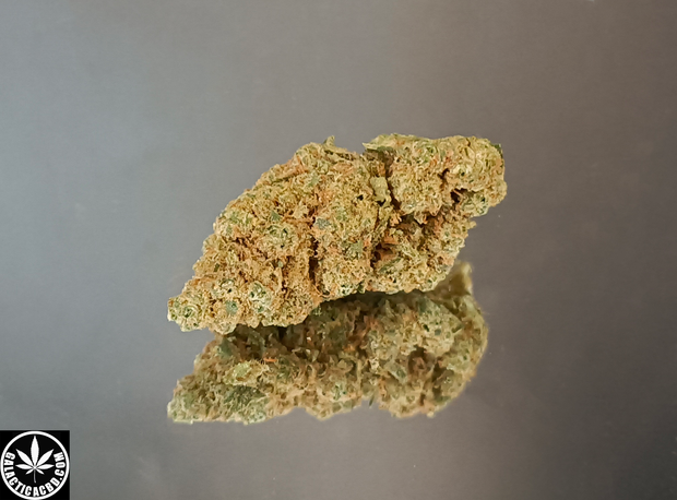 HARLEQUIN - INDOOR (5 GRAMMES)