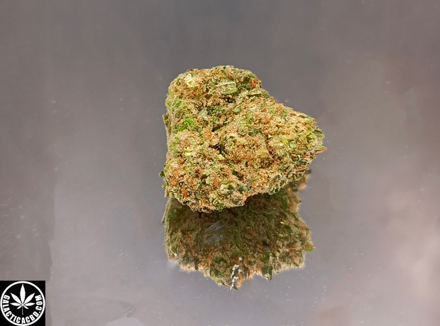 LARRY BIRD KUSH - INDOOR (5 GRAMMES)