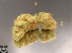 LEMON - INDOOR D'EXCEPTION (5 GRAMMES)