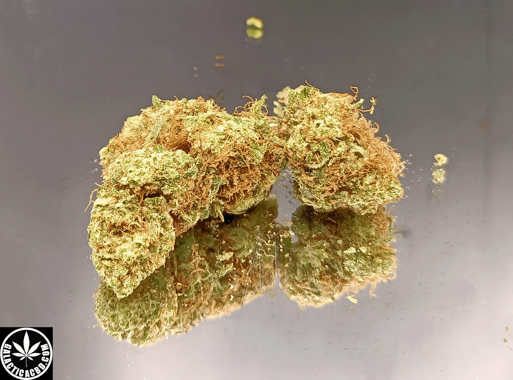 LEMON - INDOOR D'EXCEPTION (5 GRAMMES)