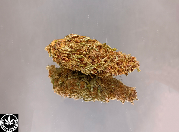 PURPLE 40% - GREENHOUSE (5 GRAMMES)
