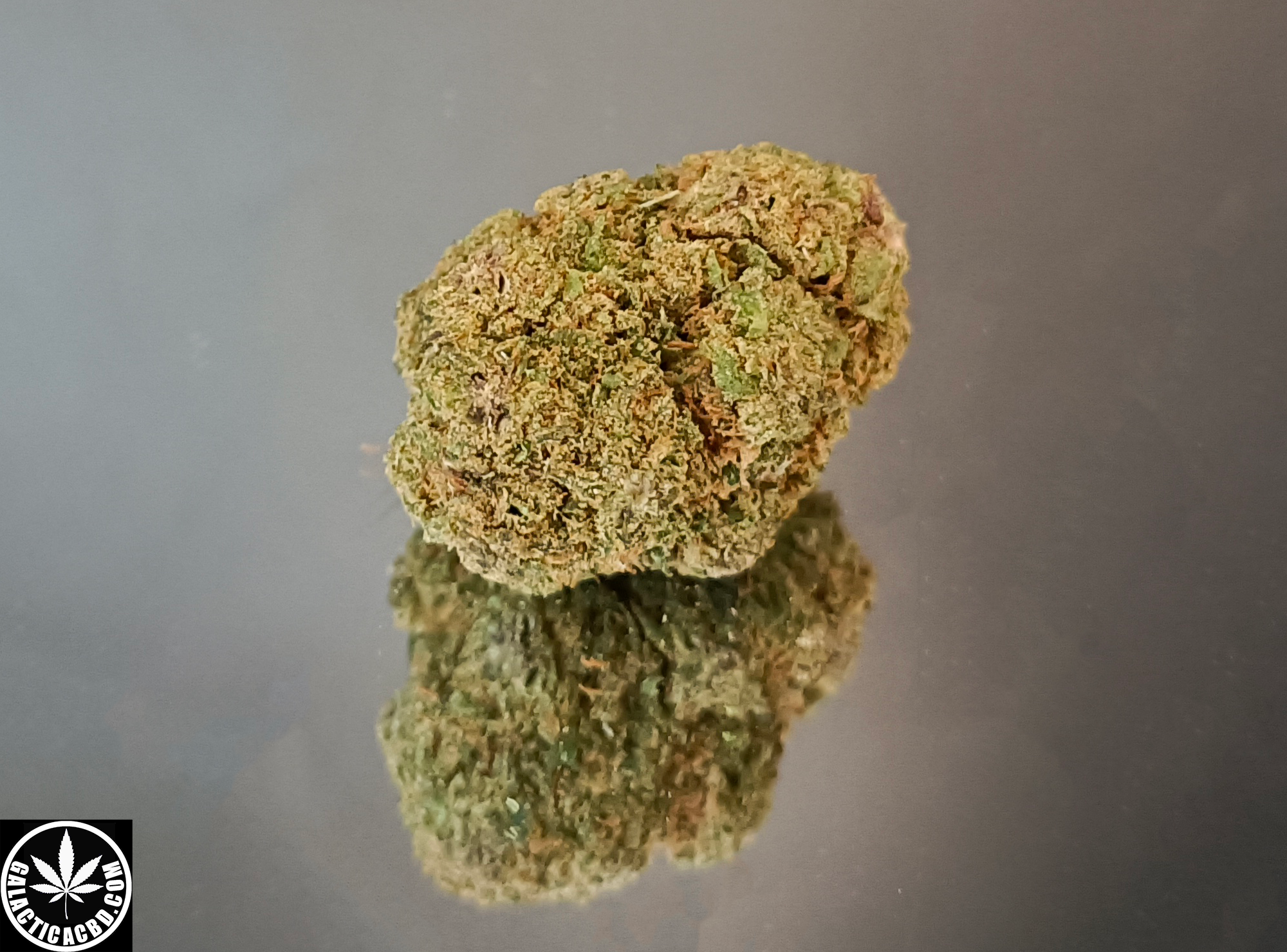 RUNTZ - INDOOR (5 GRAMMES)