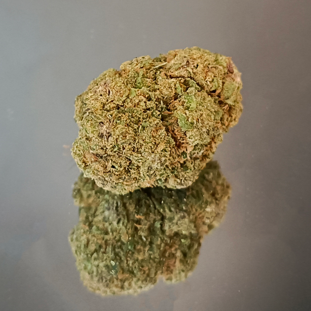 RUNTZ - INDOOR (5 GRAMMES)
