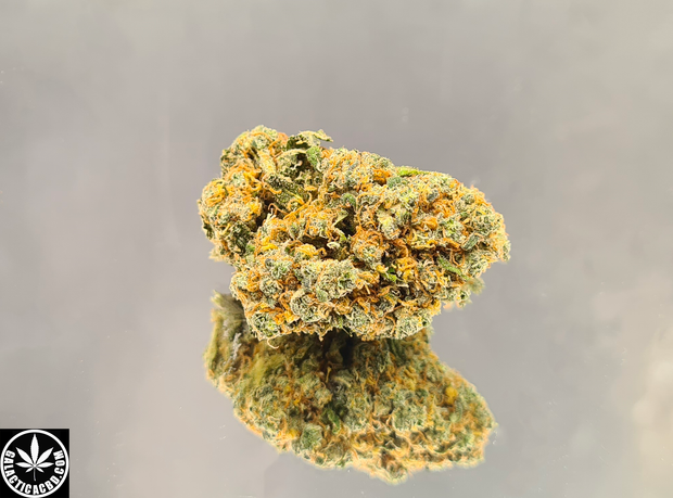 TROPICANA - INDOOR D'EXCEPTION (5 GRAMMES)
