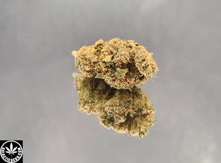 WATERMELON - INDOOR (5 GRAMMES)