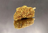 LEMONCELLO - GREENHOUSE (5 GRAMMES)