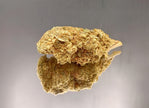 BON PLAN - LEMON SKITTLEZ GREENHOUSE (5 GRAMMES)