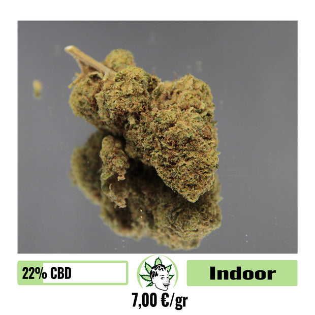 OG KUSH - INDOOR