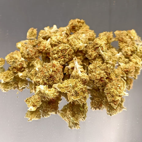 BON PLAN - SMALL FT MINI