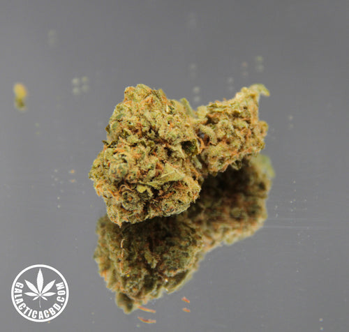 EL PROFESOR - INDOOR