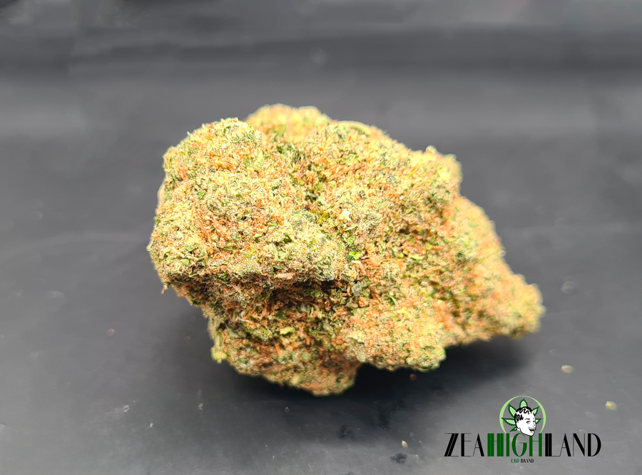GELATO
