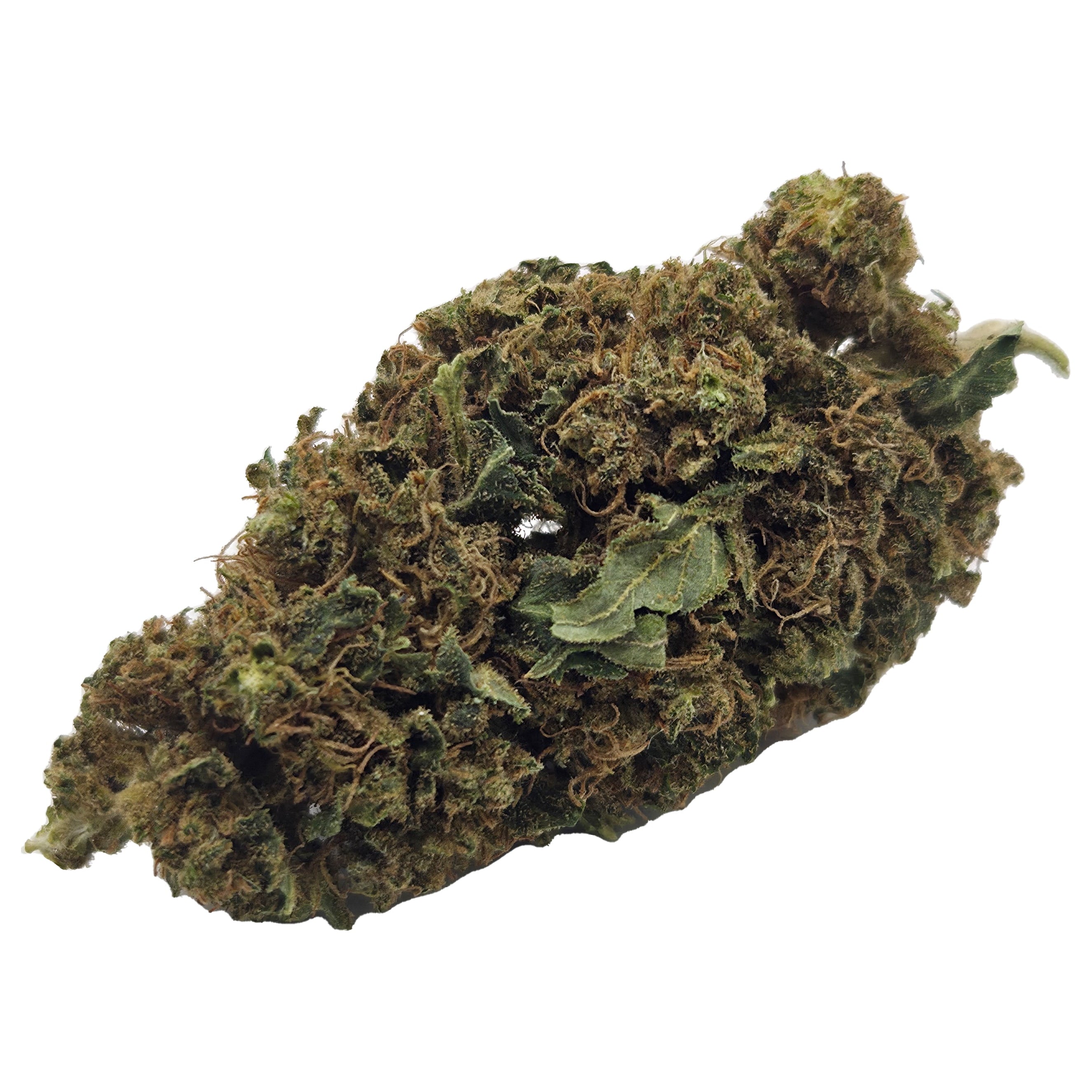 PURPLE - GREENHOUSE (10 GRAMS)