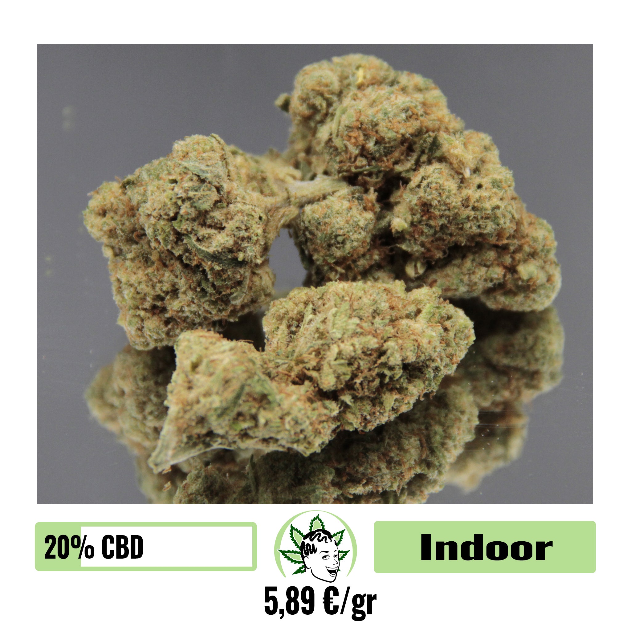 ZEAHIGHLAND BUD- INDOOR