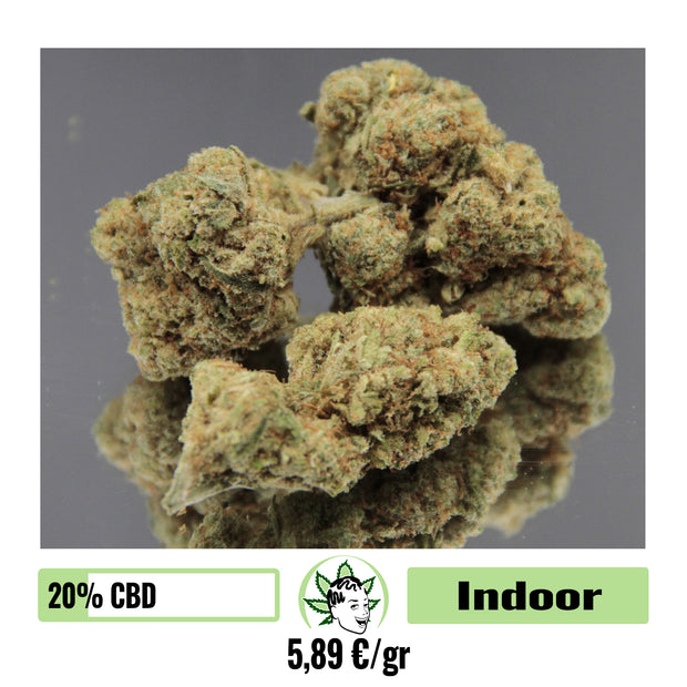 ZEAHIGHLAND BUD- INDOOR