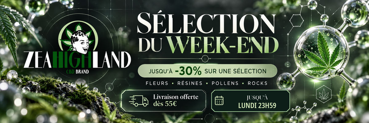 ZeaHighland banniere lundi 23h59