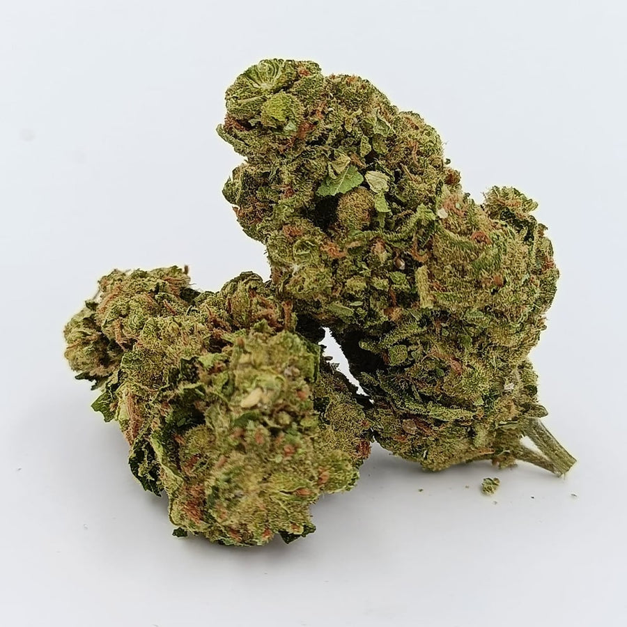 AMNESIA 60