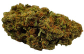 GELATO 60