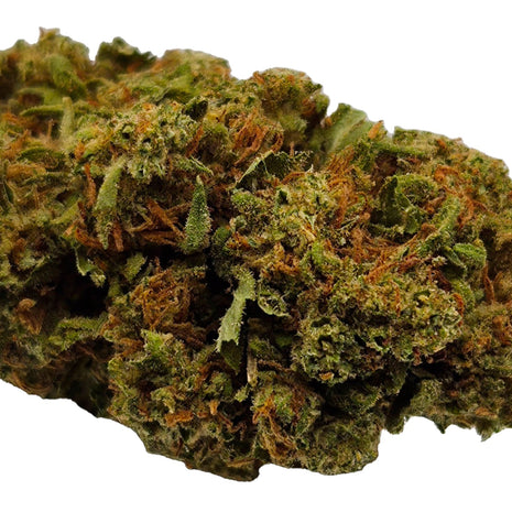 GELATO 60