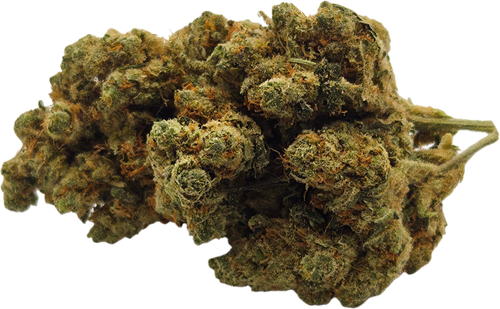 AMNESIA