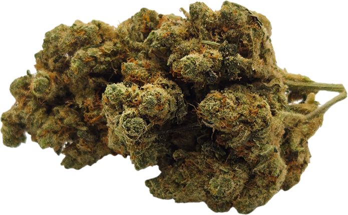 AMNESIA