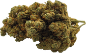 AMNESIA