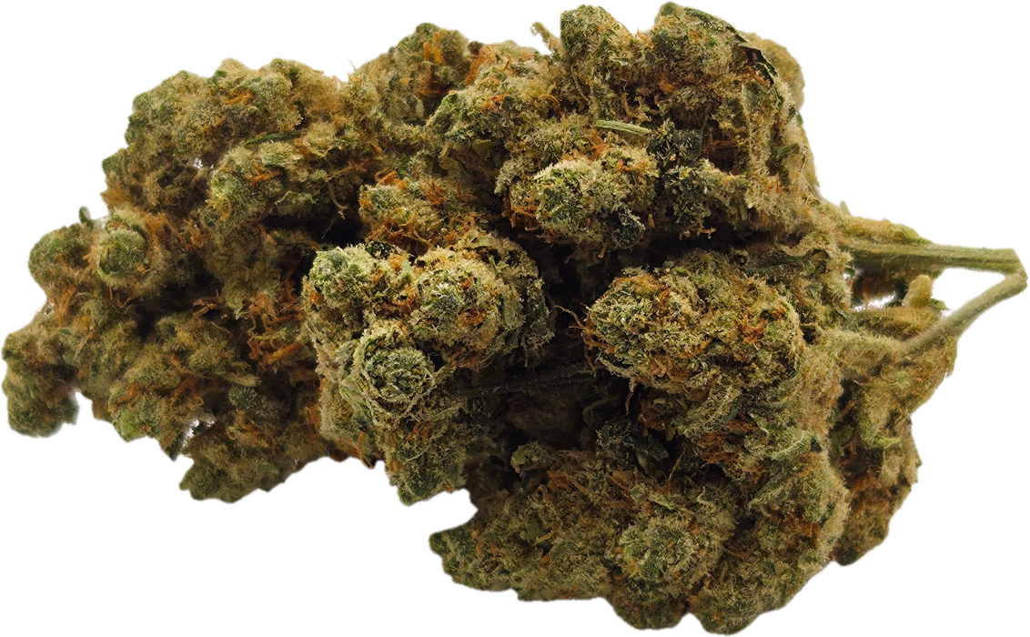 AMNESIA