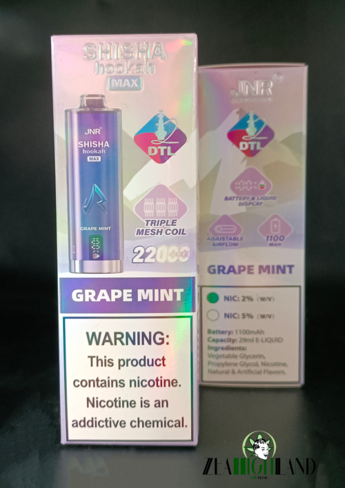 PUFF 22 000 SHISHA - GRAPE MINT